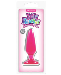 Jelly Rancher Pleasure Plug Small - Pink - THE FETISH ACADEMY 
