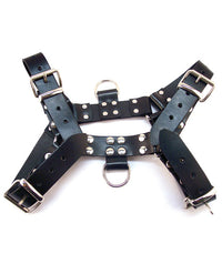 Rouge Over The Head Xlarge Harness - THE FETISH ACADEMY 