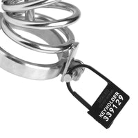 Keyholder 10 Pack Numbered Plastic Chastity Locks - TFA