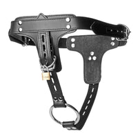 Premium Locking Leather Cock Ring and Anal Plug Harness - TFA