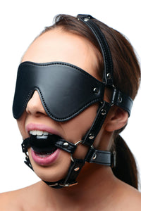Blindfold Harness and Ball Gag - TFA