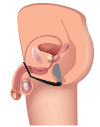 Explorer II Prostate Stimulator and Cock Ring - TFA