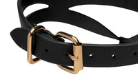 Black and Gold Collar with Leash Kit - TFA
