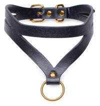 Black and Gold Collar with Leash Kit - TFA