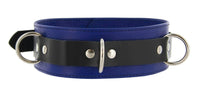 Strict Leather Deluxe Locking Collar - Blue and Black - TFA