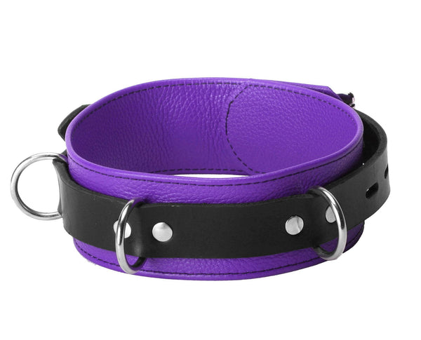 Strict Leather Deluxe Locking Collar - Purple and Black - TFA