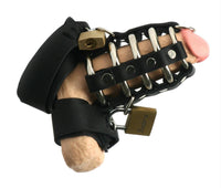 Strict Leather Gates of Hell Chastity Device - TFA