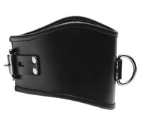 Padded Leather Locking Posture Collar - TFA