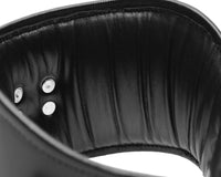 Padded Leather Locking Posture Collar - TFA